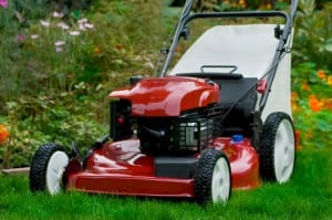 lawn care equipment rentals