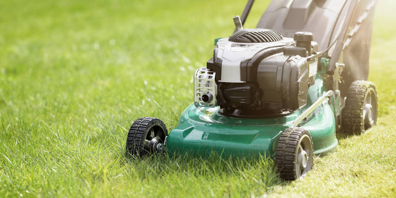 Three Lawn Care Equipment Rentals You Should Consider