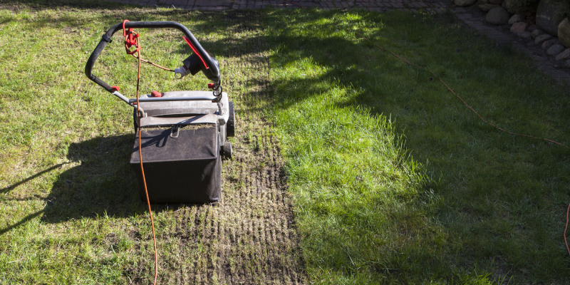 Beyond Mowers: How to Use Lawn Care Equipment