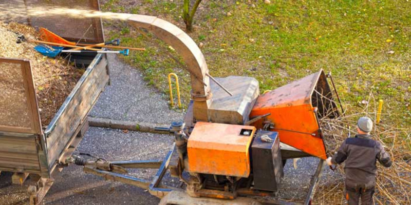 Use Our Wood Chippers to Transform Your Yard from an Overgrown Forest to a Peaceful Oasis