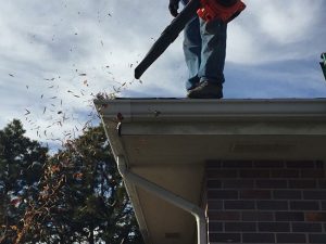 Leaf Blowers Aren’t Just for Leaves