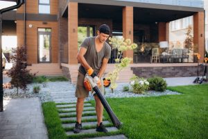 Here’s Why Leaf Blowers Are Essential for All Seasons